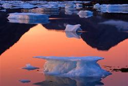 南極與北極十大差異:企鵝北極熊分居兩極