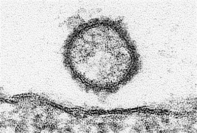 科技新視野:未來手機(jī)充電器靠呼吸發(fā)電(組圖)