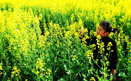 河南商城縣：鄉村美景如畫來 （組圖）