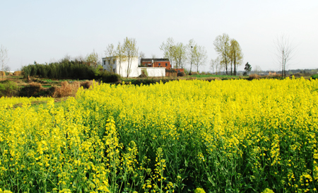 河南商城縣：鄉村美景如畫來 （組圖）