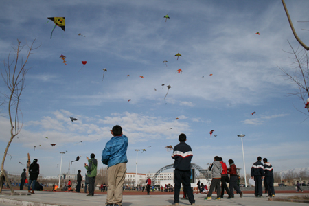 和布克賽爾蒙古自治縣舉辦首屆“風箏大賽”