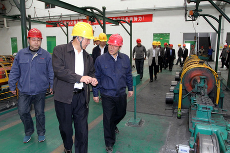 安徽副省長視察淮海實業集團