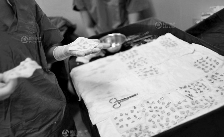 這就是咱的爸爸媽媽