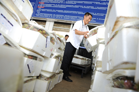 海南荔枝熱銷廣州 南航服務果農“讓利”為民