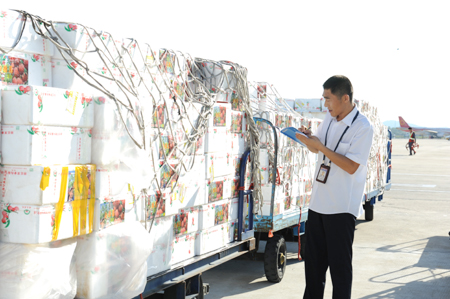 海南荔枝熱銷廣州 南航服務果農“讓利”為民