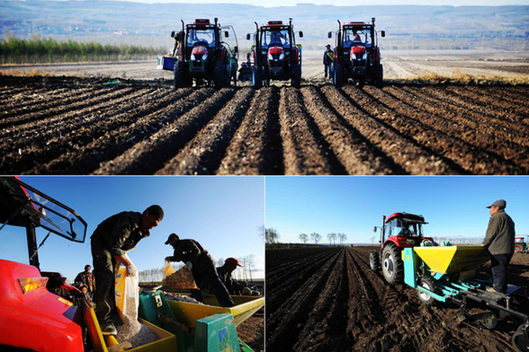 克山:現(xiàn)代化大農(nóng)機春耕“唱主角”