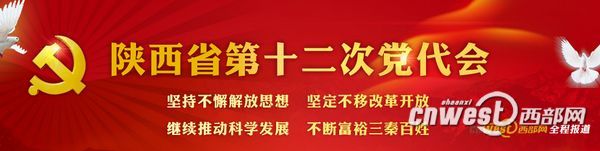 陜西黨代會