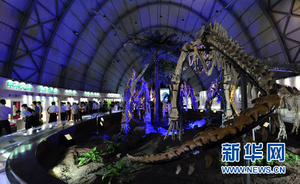 遼寧恐龍?zhí)卣梗汗?個(gè)屬種的大型恐龍化石