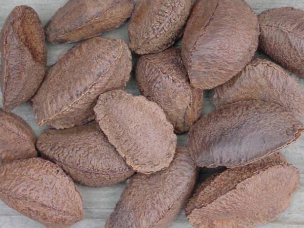 12類超級食物迅速修復“透支”身體