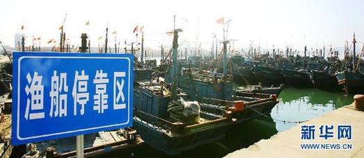 我國東海區(qū)5萬多艘漁船今日起全面休漁