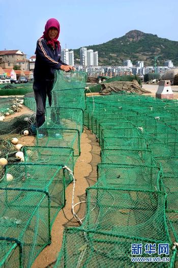 我國東海區5萬多艘漁船今日起全面休漁