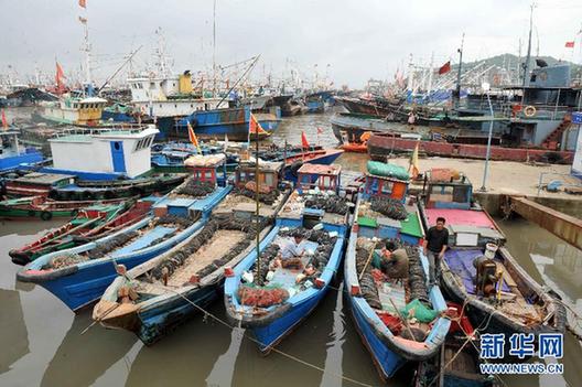 我國東海區(qū)5萬多艘漁船今日起全面休漁