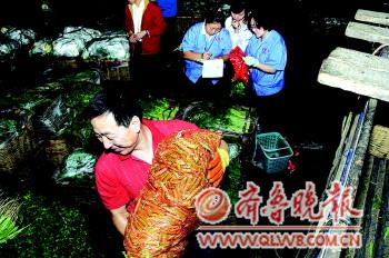 青島建成肉菜追溯體系 和濟南濰坊數據共享