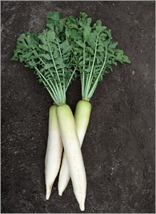 排毒功能最強(qiáng)的19種食物