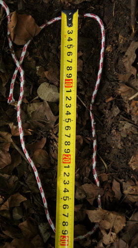 民間野考隊稱發現神農架野人活動新證據