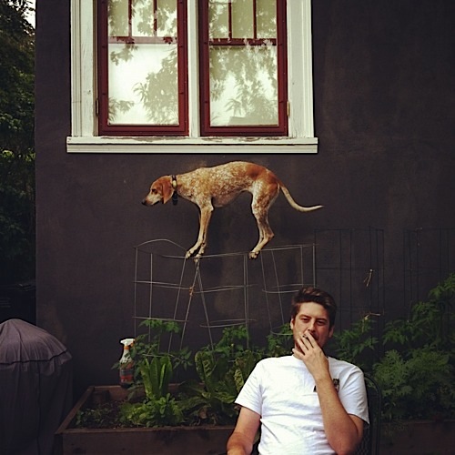 奇趣！動物攝影:一只特立獨行的狗(組圖)