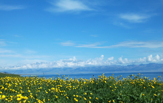 石大攝影愛好者赴賽里木湖采風