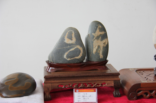 中國首屆金沙江奇石藝術(shù)博覽會(huì)展品令人嘆為觀止