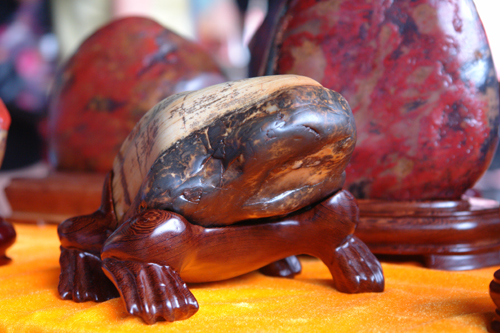 中國首屆金沙江奇石藝術博覽會展品令人嘆為觀止