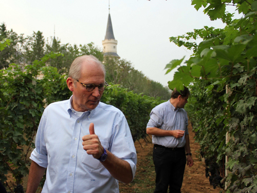 張裕 :“中國風味” 葡萄酒的百年追求