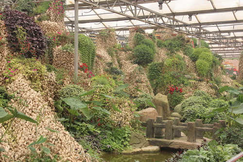 港澳媒體行采訪團參觀壽光市蔬菜高科技示范園