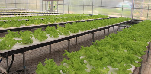 泰安:以創意旅游產品吸引港澳游客