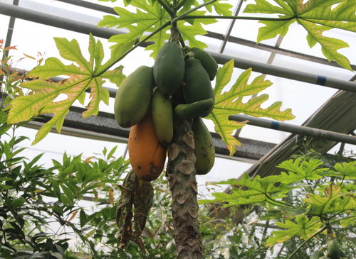 泰安：以創意旅游產品吸引港澳游客