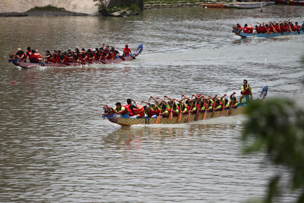 賽龍舟 慶端午