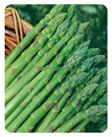 美膚推介：排毒功能最強的19種食物(組圖)