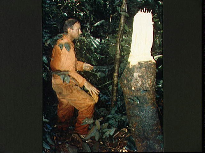 NASA老照片揭秘：如何成為“全能”宇航員