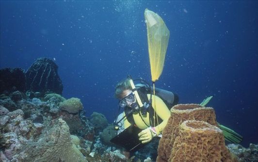 揭秘2012年十大最佳女性職業