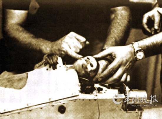 史上進(jìn)入太空的“動(dòng)物航天員”