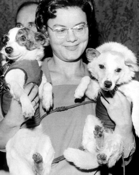 史上進入太空的“動物航天員”