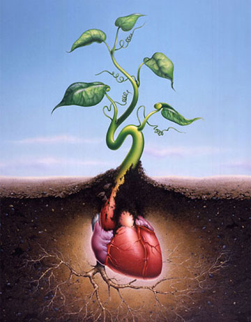 引發猝死的十個“傷心”惡習 讓心臟病發作