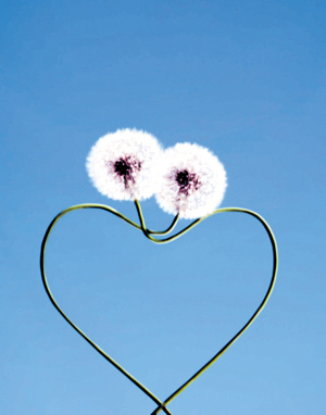 引發(fā)猝死的十個(gè)“傷心”惡習(xí) 讓心臟病發(fā)作