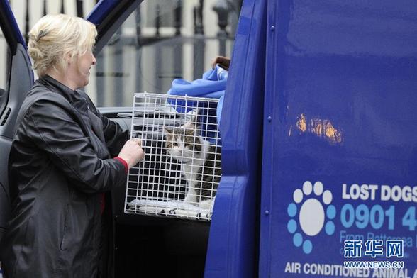 首相府里貓咪拉里