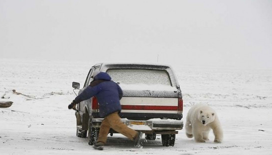 動物襲擊人的搞笑瞬間