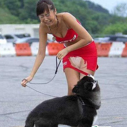 動物襲擊人的搞笑瞬間