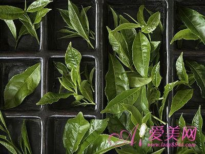 養生：食物抗擊疲勞 擊退上班綜合癥