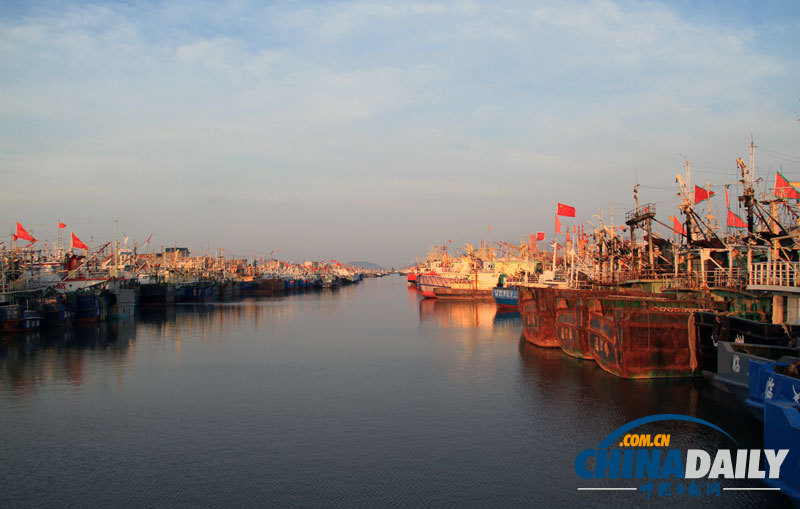 強臺風“?？?#8221;登陸 浙蘇滬積極應對