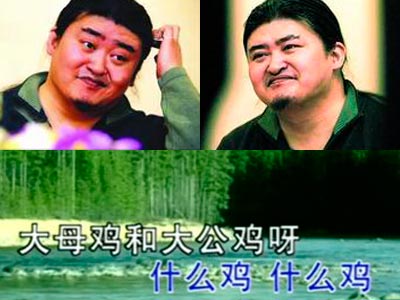 劉歡神曲《喂雞》爆紅 揭那些你