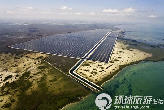 揭美國核電站鱷魚成群之謎