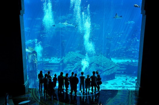 探秘迪拜一夜二十萬奢華客房?jī)?nèi)景 房間多的數(shù)不清