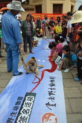 翠湖挽留熊貓活動最火爆