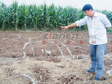 南鄭考古新發(fā)現(xiàn) 揭秘新石器時(shí)代如何裝修