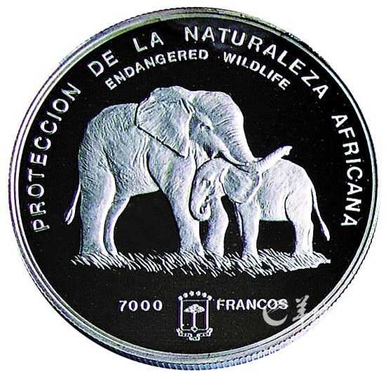 硬幣上的動物世界：蝙蝠鯧性情嬌羞