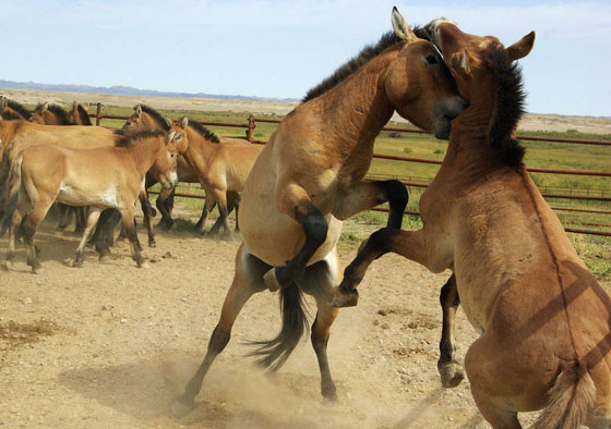中國日報一周最佳圖片9月1日—9月7日