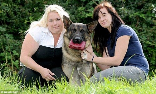 胖狗超重四人抬 懷孕男再獲真愛