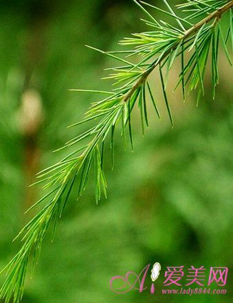 養生：秋季必知的4個健康秘訣 讓你不得腫瘤不生病