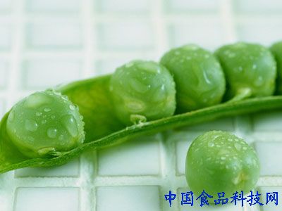 女性養(yǎng)生：這7種蔬菜 告別“人老珠黃”